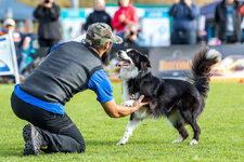20161008_102825_IMG_7472_EXP.jpg