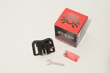 Spider-1.jpg