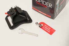 Spider-3.jpg
