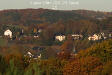a-Sigma50mm-028.jpg