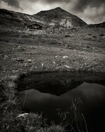 comp_IMG_9411-2.jpg comp_IMG_9411-2.jpg