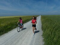 P1020551verkl, ooc.jpg