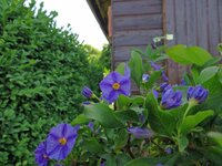 comp_rz20130616 Canon SX260HS Bild 3.jpg