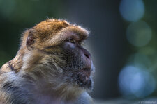 160924_Zoo_Rheine-7.jpg