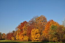 DSC_1421.JPG