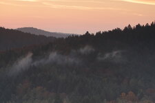 IMG_4455.jpg