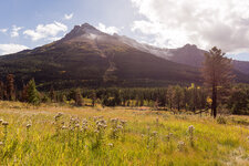 Redrock1-4.JPG Redrock1-4.JPG