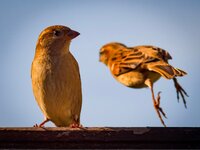 IMG_0750.JPG