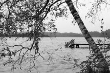 Regentag im Herbst.jpg