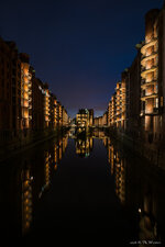 DSC_5828-4.jpg