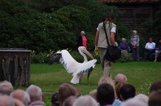 Vogelpark Walseode 200mm.JPG