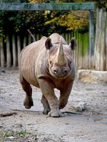 A7II_08257_jiw.jpg A7II_08257_jiw.jpg