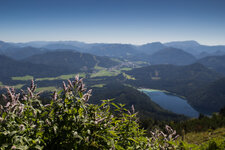 _MG_8663.jpg
