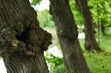 IMG_1543.jpg IMG_1543.jpg