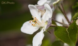 IMG_7334_bearbeitet.jpg