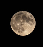 IMG_6709.jpg