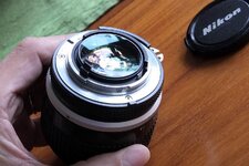 _DSF6705.JPG