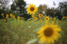 IMG_6145.jpg