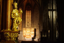 DSC07008.jpg