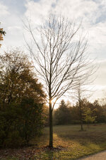 16-35 Test-2-Web.jpg