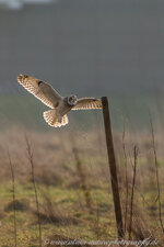 A27O3391-1.jpg