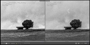 Vergleich Canoscan 9000F vs RPS 10M.jpg