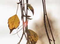 16-35 Test-3-Web-c.jpg