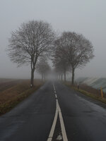 Straße im Nebel.jpg