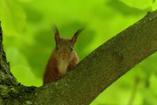 comp_DSC_4382.jpg