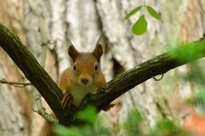 comp_DSC_4421.jpg