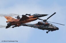 comp_IMG_3310.jpg
