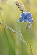 20130608-IMG_0935.jpg