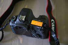 IMG_8865.jpg