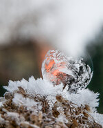 IMG_0783-2.jpg