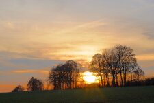 DSCF2540.jpg