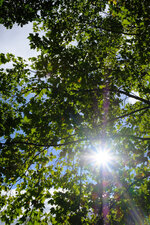DSCF3113.jpg
