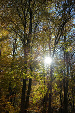 DSCF5016.jpg