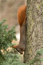comp_DSC_59672.jpg