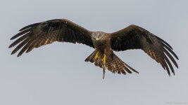 7D2_4864-2.jpg