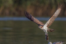 7D2_2378-4.jpg 7D2_2378-4.jpg