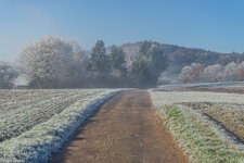 Odenwald 16.jpg