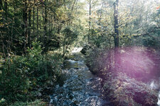 DSCF4977.jpg