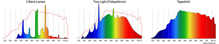 Spektrum.jpg