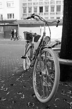 DSCF5997_v2.jpg