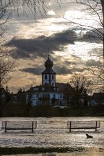 Ladenburg Neckarhochwasser_1.jpg