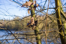 IMGP0055-bearbeitet.jpg