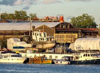 IMGP9879-1.jpg