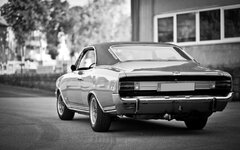 IMG_7453_1200.jpg