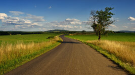 DSC00604.jpg