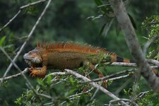 IMG_1739_DF.jpg